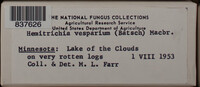 Image Associated With the Occurence